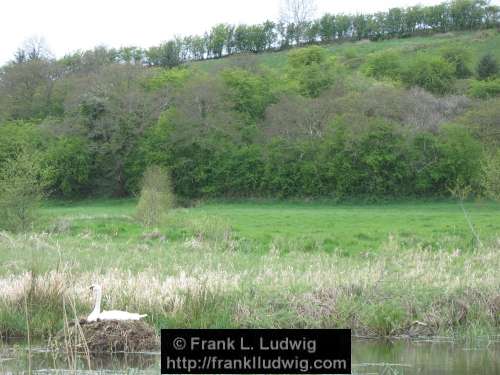 Lough Ardrea